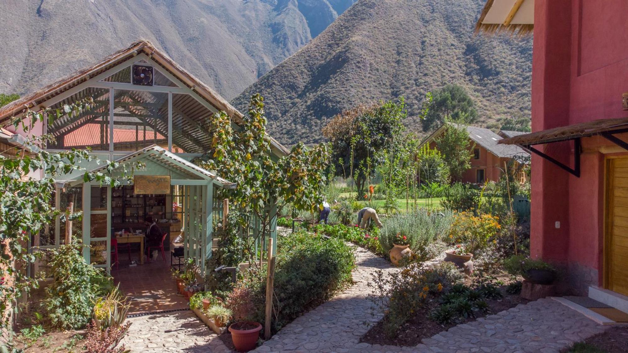 Arbol De La Vida Hotel Huaran Eksteriør billede